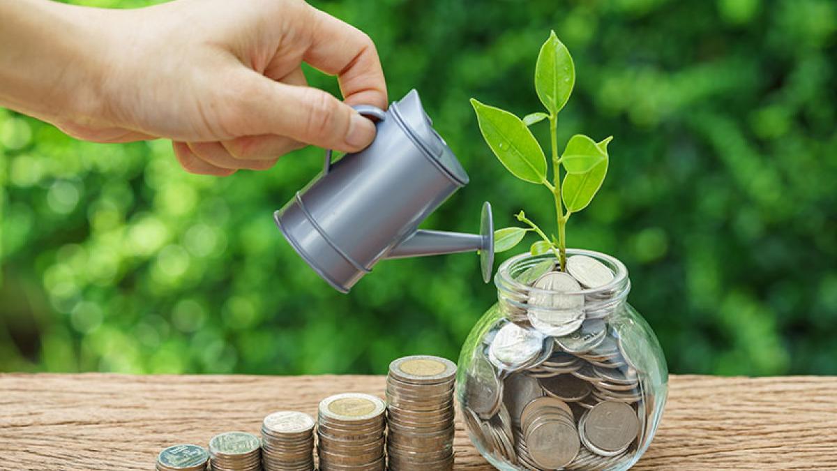 Investasi yang Bijak Menurut Alkitab